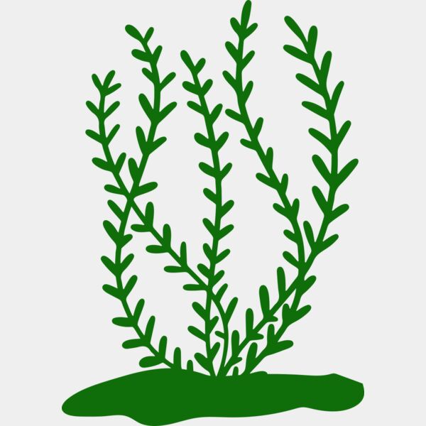 Sea Plants 3 Thumbnail